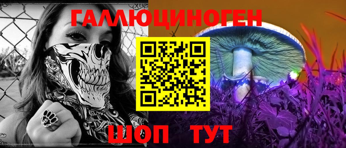Псилоцибиновые грибы Cubensis Когалым